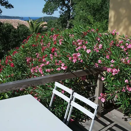 Pietra Rossa Apartment